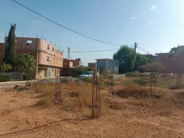 Vente Terrain Relizane Djidioua 5