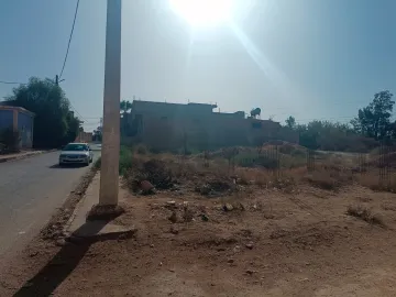 Vente Terrain Relizane Djidioua 6