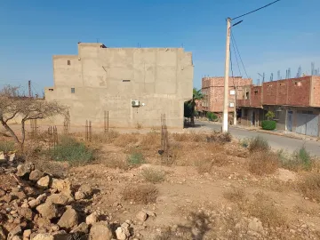 Vente Terrain Relizane Djidioua 3
