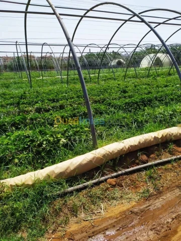 Vente Terrain Agricole Alger Zeralda 16
