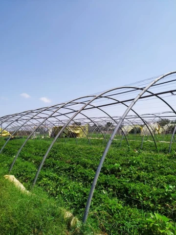 Vente Terrain Agricole Alger Zeralda 14