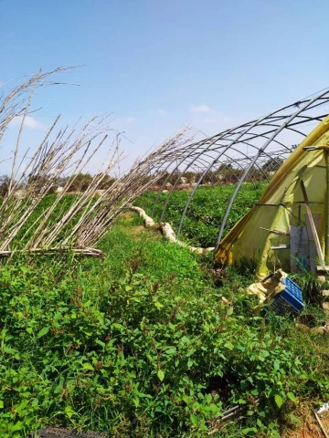Vente Terrain Agricole Alger Zeralda 10