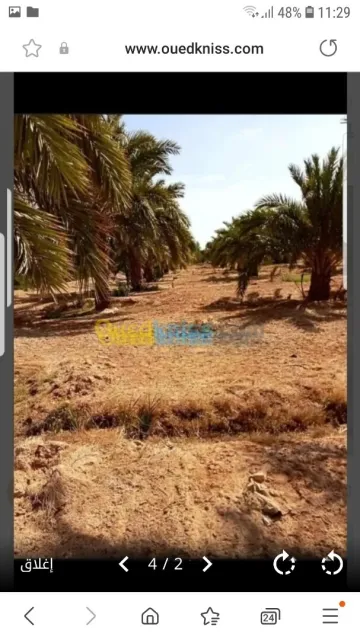 Vente Terrain Agricole Biskra Oumache 3