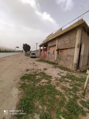 Vente Terrain Relizane Sidi khettab 5