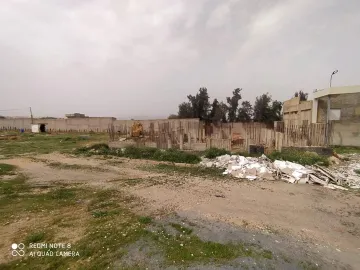 Vente Terrain Relizane Sidi khettab 7