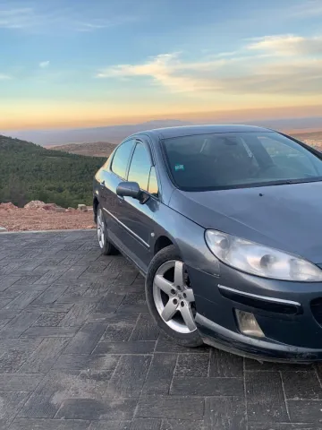 Peugeot 407 2004 407 12