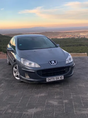 Peugeot 407 2004 407 9