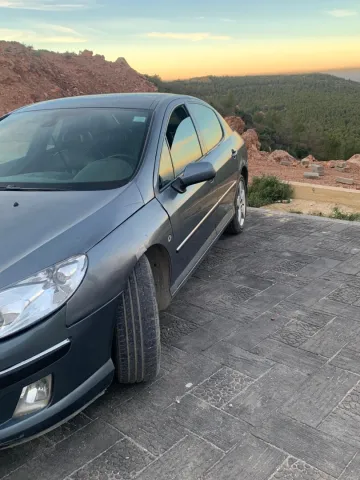 Peugeot 407 2004 407 6