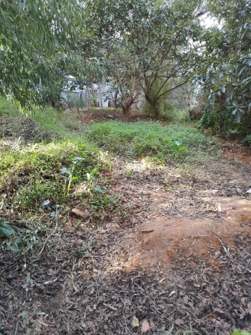 Vente Terrain Alger Ben aknoun 2
