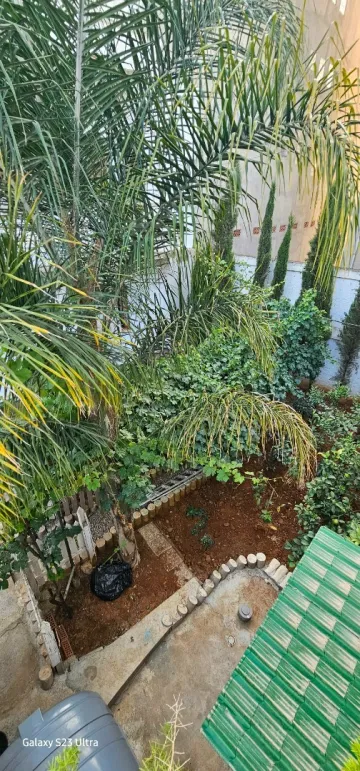 Vente Villa Alger Saoula 29