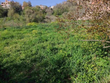 Vente Terrain Médéa Medea 3