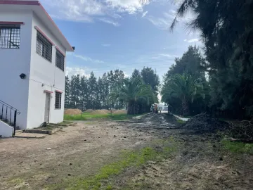 Vente Usine Blida Ben khellil 3