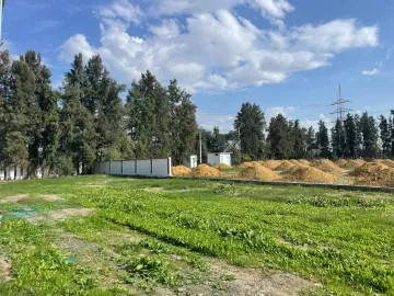 Vente Usine Blida Ben khellil 2