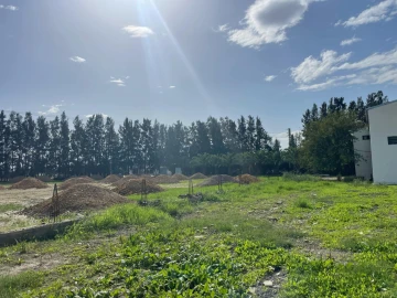 Vente Usine Blida Ben khellil