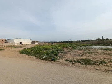 Location Terrain Oran Misseghine 2