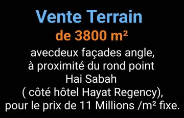 Vente Terrain Oran Bir el djir