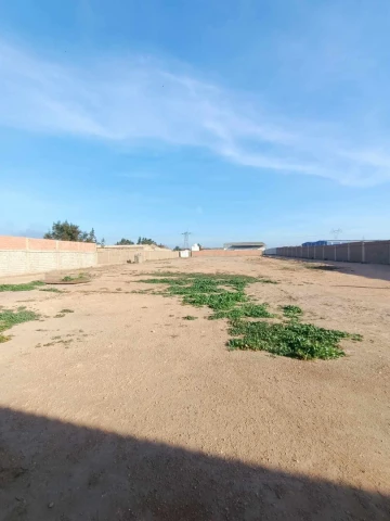 Location Terrain Oran Bethioua