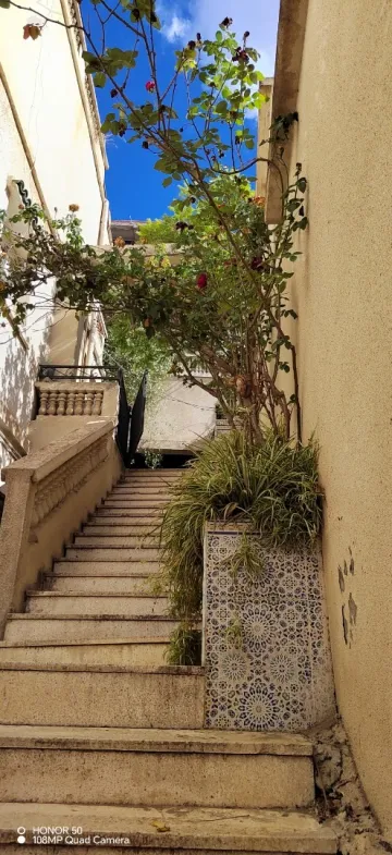 Location Villa Alger Bouzareah 9