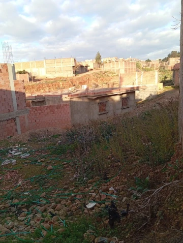 Vente Terrain Chlef Chettia 8