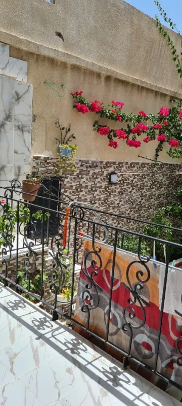 Vente Duplex F4 Alger Hydra 8