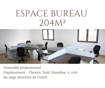 Location Immeuble Alger Said hamdine