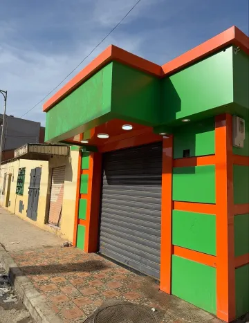 Vente Local Sidi Bel Abbès Sidi bel abbes 2