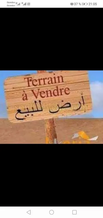 Vente Terrain Aïn Témouchent El amria