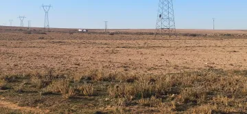 Vente Terrain Agricole Djelfa Ain oussara 8