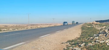 Vente Terrain Agricole Djelfa Ain oussara 10