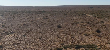 Vente Terrain Agricole Djelfa Ain oussara 3