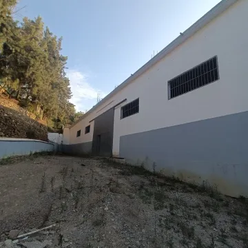Location Hangar Boumerdès Tidjelabine 3
