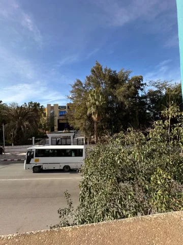 Location Local Tlemcen Tlemcen 3