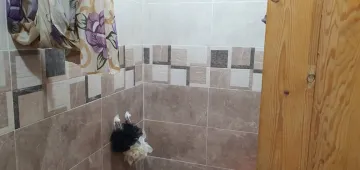 Vente Immeuble Tebessa Tebessa 13