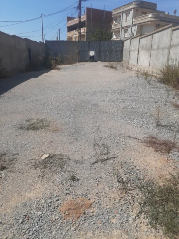 Location Terrain Alger Douera 2