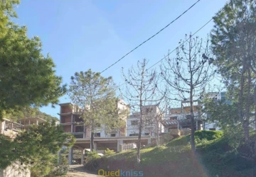 Vente Terrain Tipaza Cherchell