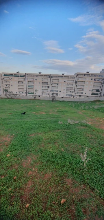 Vente Terrain Tipaza Douaouda 5