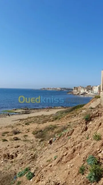 Location Studio Alger Ain benian 2