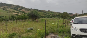 Vente Terrain Boumerdès Zemmouri