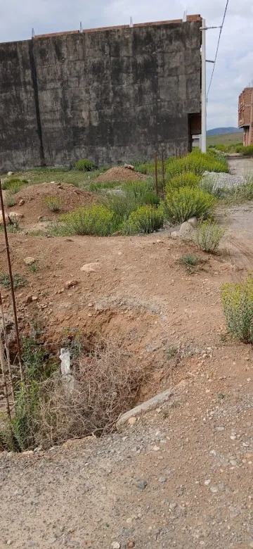 Vente Terrain Batna Tazoult