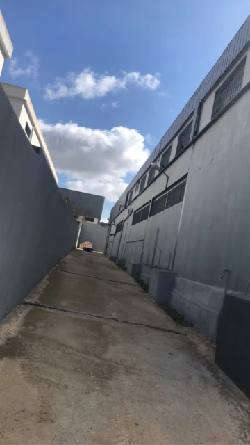 Vente Usine Oran Oued tlelat