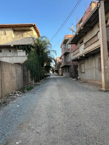 Vente Carcasse Alger Ouled chebel 3