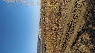 Vente Terrain Agricole Boumerdès Zemmouri