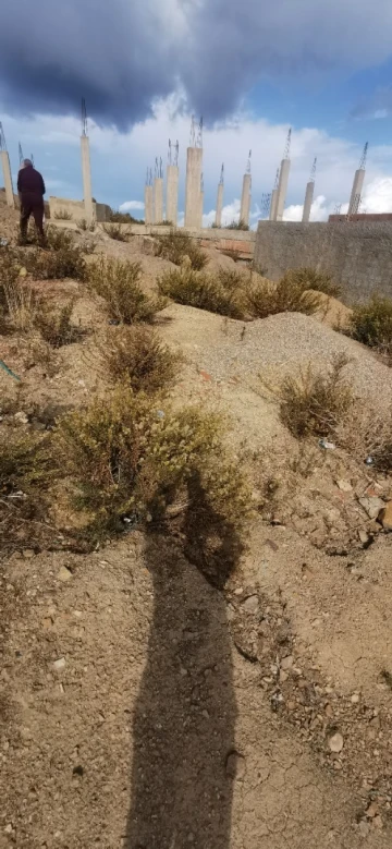 Vente Terrain Chlef Oued goussine 12