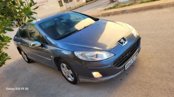 Peugeot 407 2007 407 14