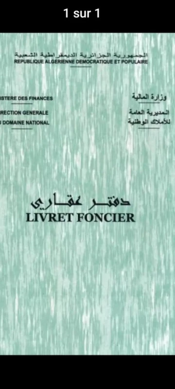 Vente Terrain Blida Boufarik