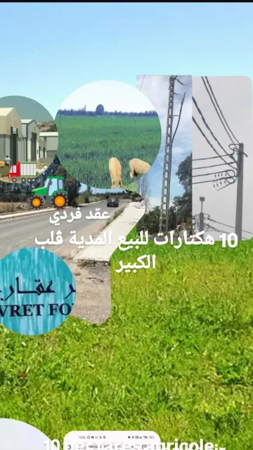 Vente Terrain Agricole Médéa El guelbelkebir 7