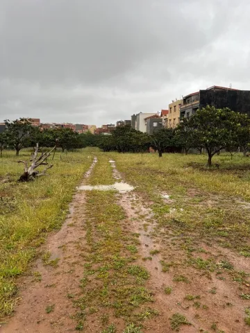 Vente Terrain Tipaza Kolea 3