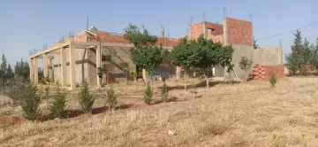 Vente Appartement Niveau de villa Tiaret Tiaret 6