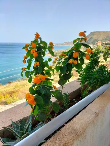 Location vacances Appartement F02 Bejaia Bejaia 11