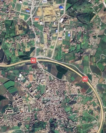 Vente Terrain Boumerdès Larbatache
